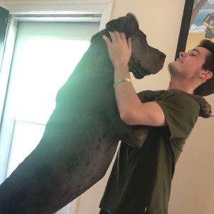 Meet your Posher, Jack